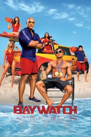 Baywatch 2017 Dual Audio Hindi 480p BluRay ORG 300MB