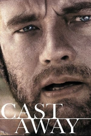 Cast Away 2000 Hindi Dual Audio 480p BluRay 450MB